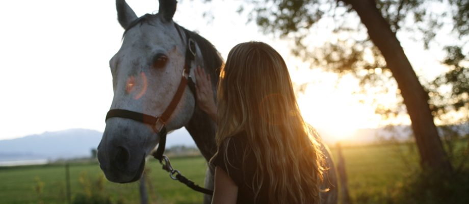 Equine Assisted Psychotherapy